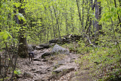_DSC2939.jpg