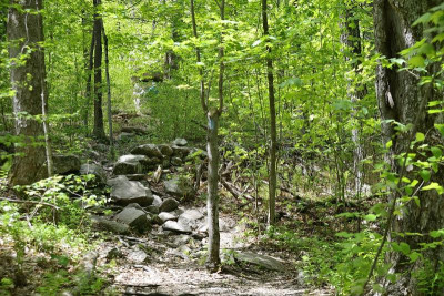 _DSC2932.jpg