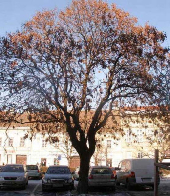 2006-02-07_111.jpg