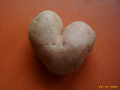 2006_0212Bild0018.JPG