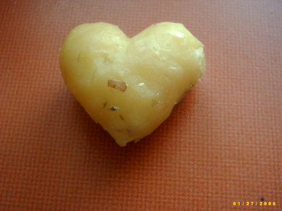 2006_0127Bild0003.JPG