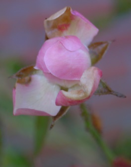 Februar_004.jpg