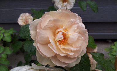 20150613_101226.jpg