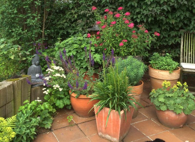 27062015 garten 11.png