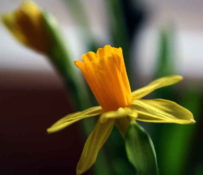 Tete-a-Tete-7.jpg