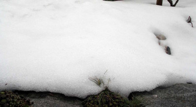 2006-02-18_001.JPG
