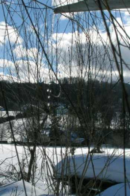 1._mal_Tauwetter_nach_3_mon.schnee.jpg