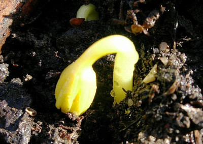 Winterschlaf1.jpg