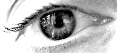 Auge-1.jpg