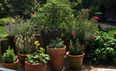 27062015 garten 14.png