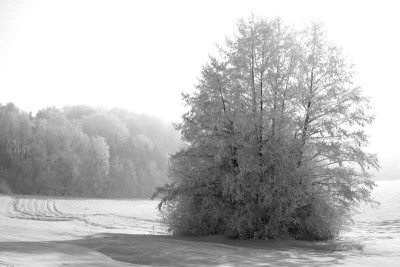 SW-Landschaft-1.jpg