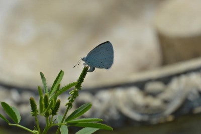 DSC_9432.JPG
