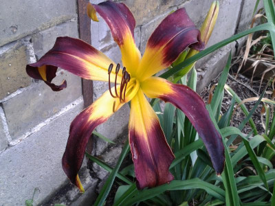 20150627_134748.jpg