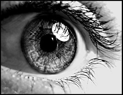 auge_makro2.jpg