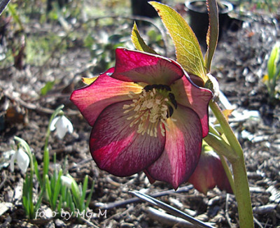 IMGP5170_2.jpg