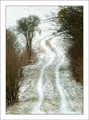 Feldansichten_2_27-02-06.jpg