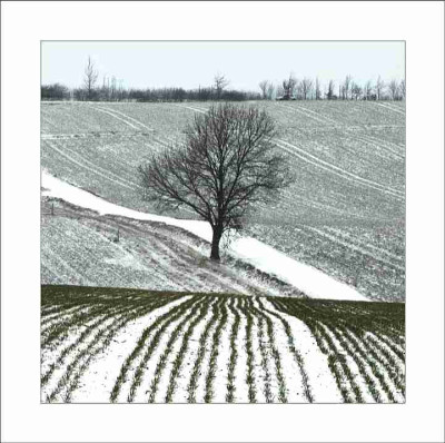Feldansichten._1_27-02-06.jpg