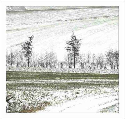 Feldansichten._2_27-02-06.jpg