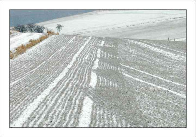 Feldansichten_1_27-02-06.jpg