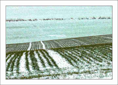 Feldansichten._4_27-02-06.jpg