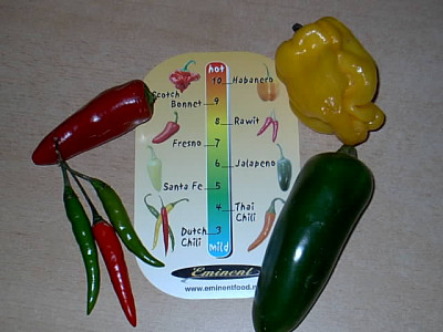 Chili-Einkauf-Globus27.02.06_004.jpg