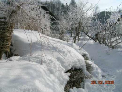 DSCN3258.jpg