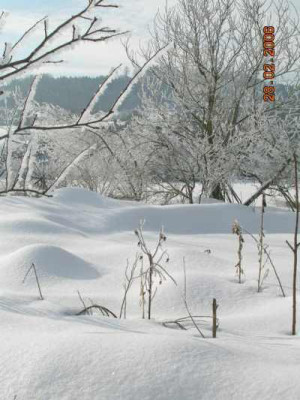 DSCN3254.jpg