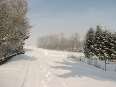 wintertag1.jpg