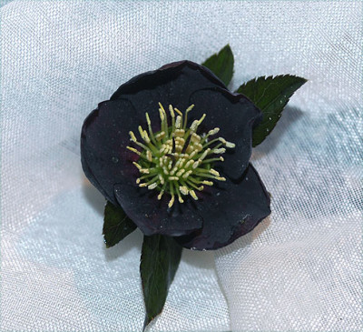 DS_1924.jpg