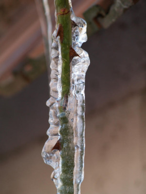 2006-02-27_eis_11.jpg