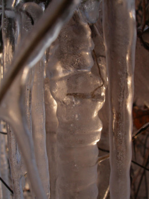 2006-02-28_eis_08.jpg