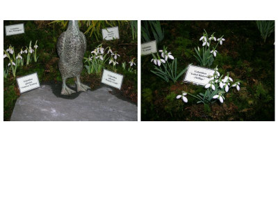 3Kontaktbogen_0005.jpg