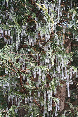 Eiszapfen.JPG