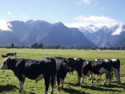 mtcook.jpg
