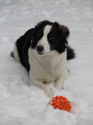 Schnee1.03.06_014.jpg