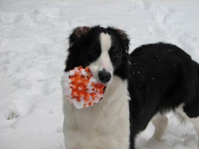 Schneegestober29.02.06_012.jpg