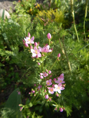 DSCN1409.JPG