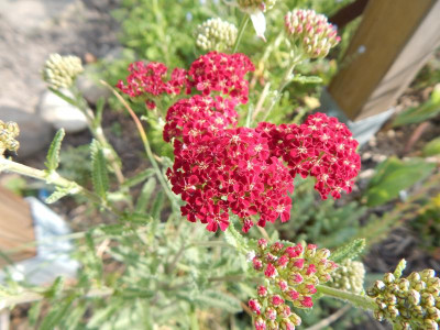 DSCN1413.JPG