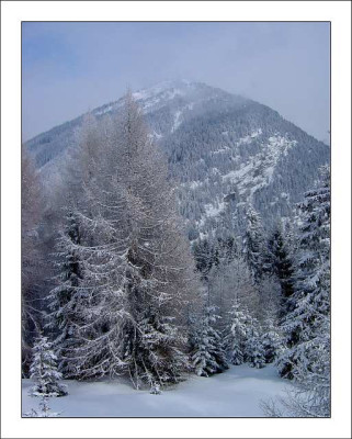 Bergansichten__1_09-03-04.jpg
