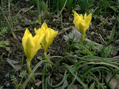 03.03.06.JPG