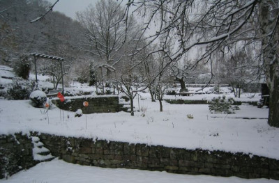 Schneegestoeber.jpg