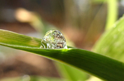 Eistropfen_10.jpg