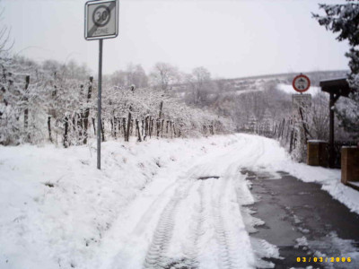 2006_0304Bild0038.JPG