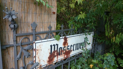 Schmiedeblume.jpg