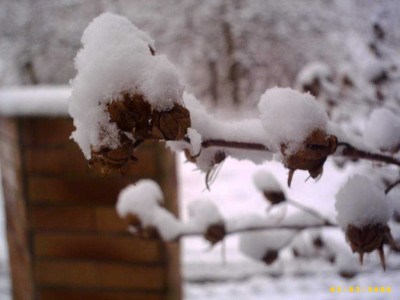 2006_0304Bild0041.JPG