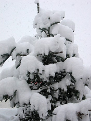 Schneechaos_1_-_4._Marz_06.JPG