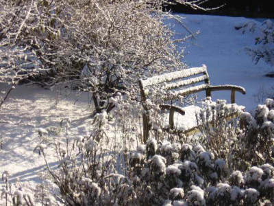 schnee4.jpg
