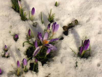 schnee5.jpg