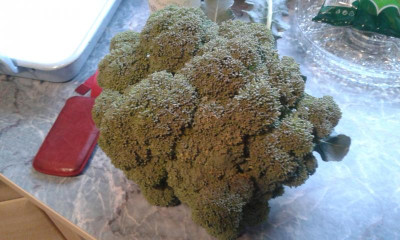 20150622_185741.jpg