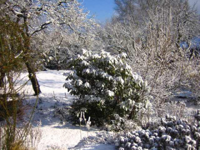 schnee7.jpg